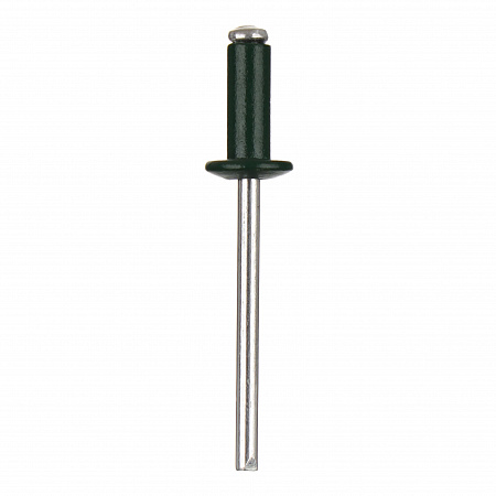 Заклепки вытяжные RAL 6005